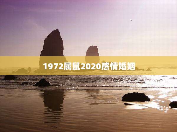 1972属鼠2020感情婚姻