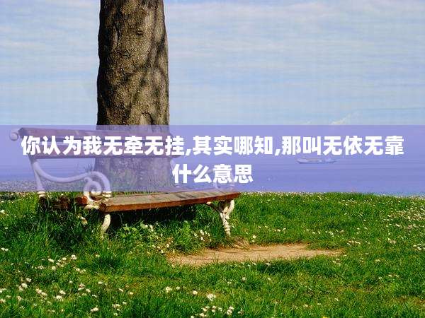 你认为我无牵无挂,其实哪知,那叫无依无靠什么意思