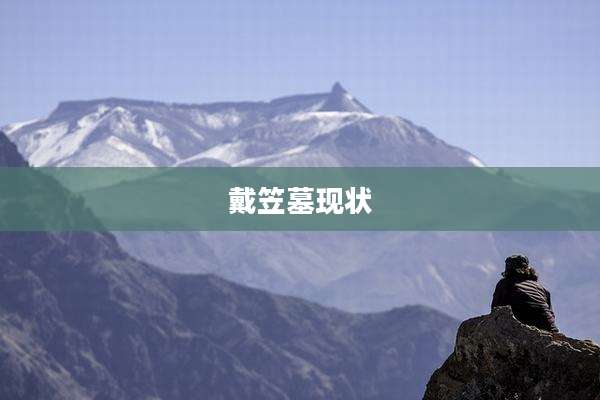 戴笠墓现状