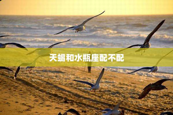 天蝎和水瓶座配不配