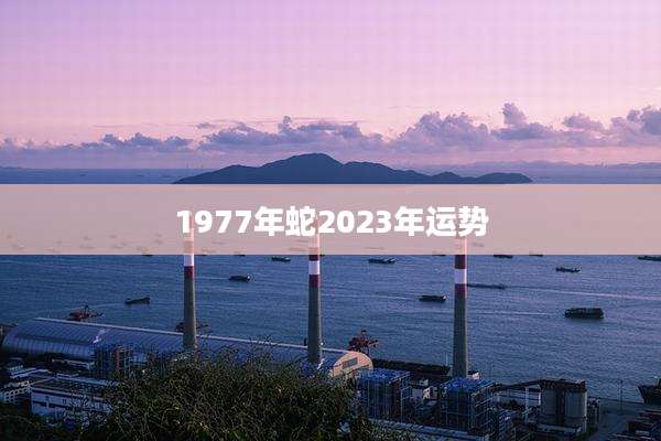 1977年蛇2023年运势
