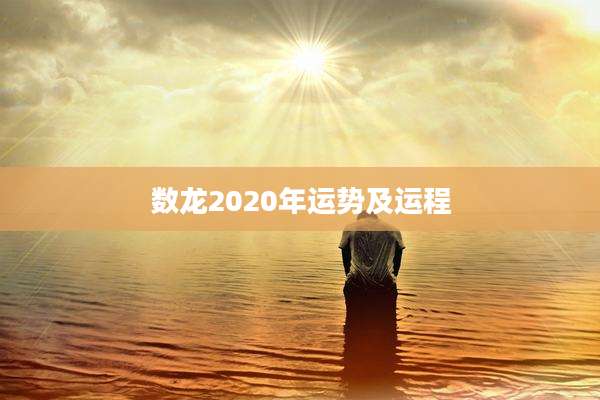 数龙2020年运势及运程