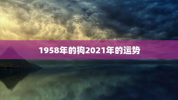 1958年的狗2021年的运势