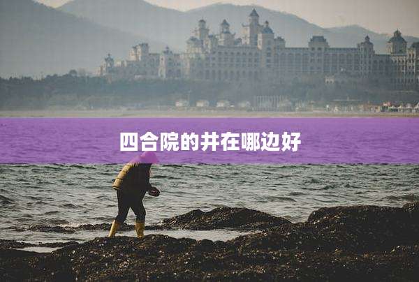 四合院的井在哪边好