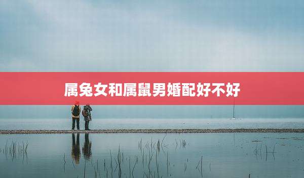 属兔女和属鼠男婚配好不好