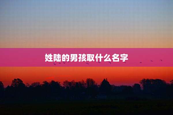 姓陆的男孩取什么名字