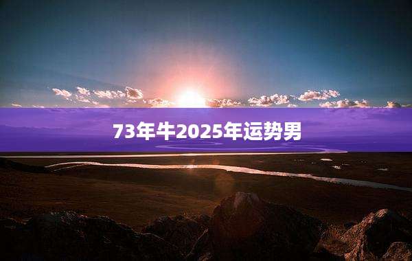 73年牛2025年运势男