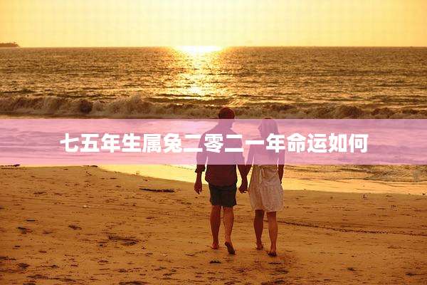 七五年生属兔二零二一年命运如何