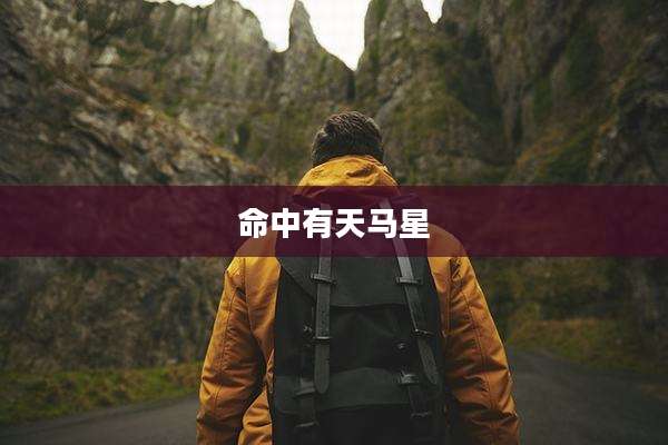 命中有天马星