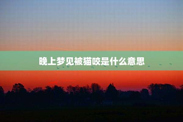 晚上梦见被猫咬是什么意思