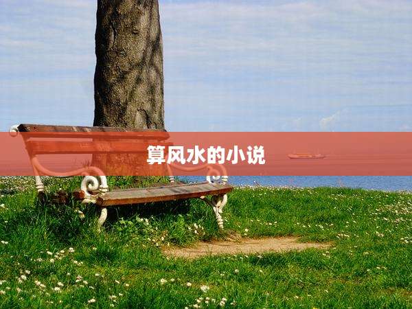 算风水的小说