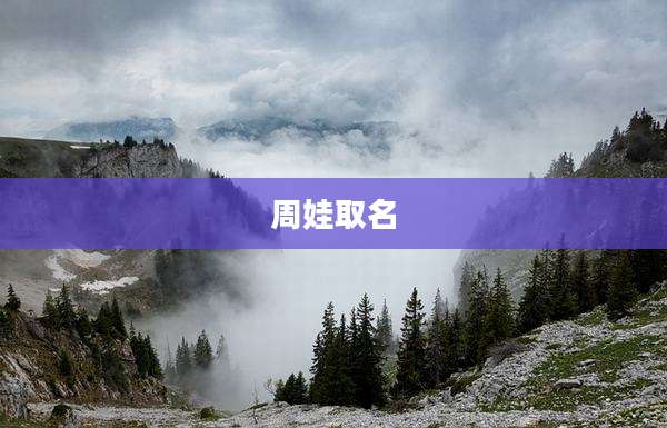 周娃取名