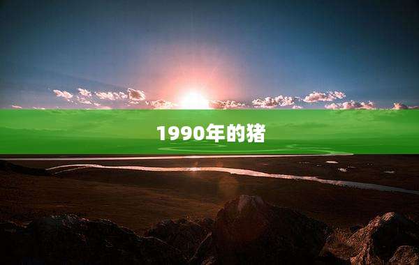 1990年的猪