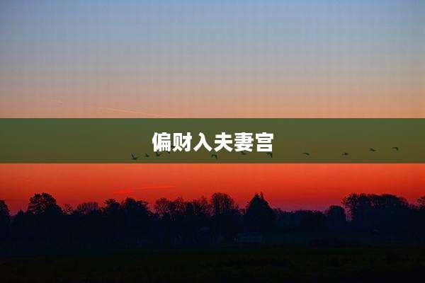 偏财入夫妻宫