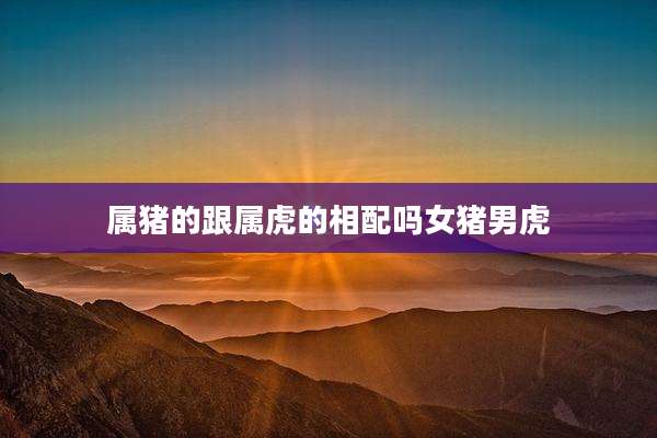 属猪的跟属虎的相配吗女猪男虎