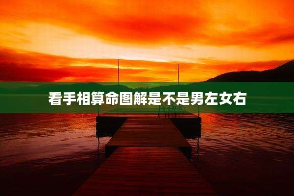看手相算命图解是不是男左女右