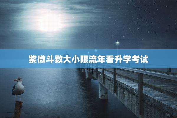 紫微斗数大小限流年看升学考试