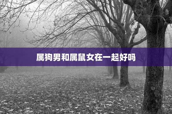 属狗男和属鼠女在一起好吗