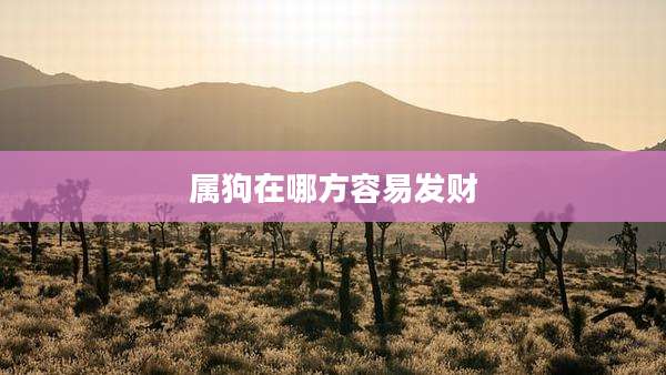属狗在哪方容易发财