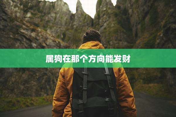 属狗在那个方向能发财