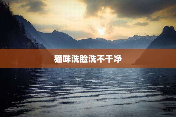 猫咪洗脸洗不干净