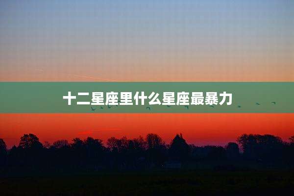 十二星座里什么星座最暴力