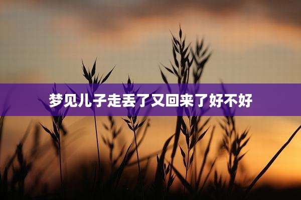 梦见儿子走丢了又回来了好不好