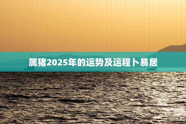 属猪2025年的运势及运程卜易居