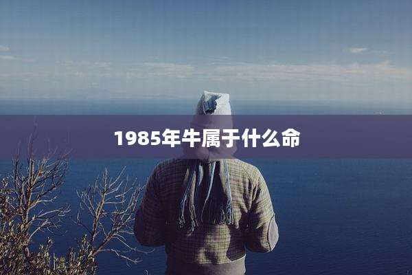 1985年牛属于什么命
