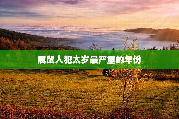 属鼠人犯太岁最严重的年份