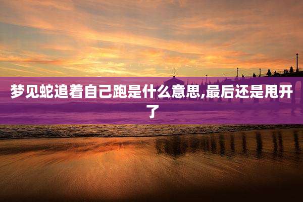 梦见蛇追着自己跑是什么意思,最后还是甩开了