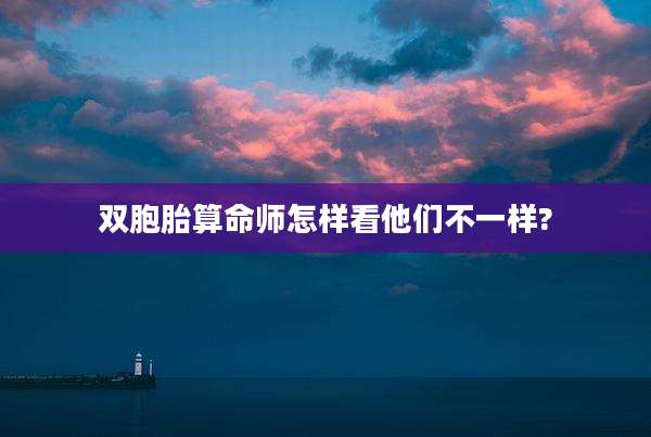 双胞胎算命师怎样看他们不一样?