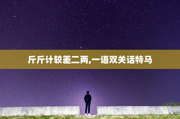 斤斤计较差二两,一语双关话特马