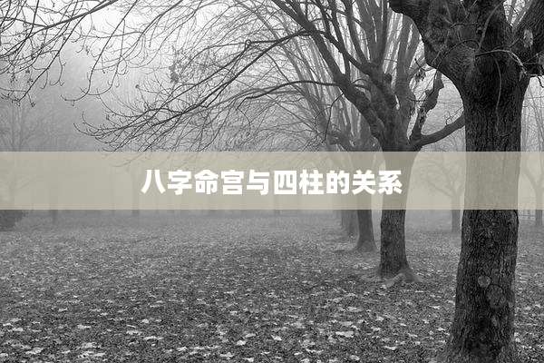 八字命宫与四柱的关系
