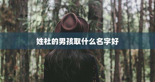 姓杜的男孩取什么名字好