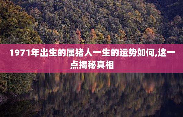 1971年出生的属猪人一生的运势如何,这一点揭秘真相