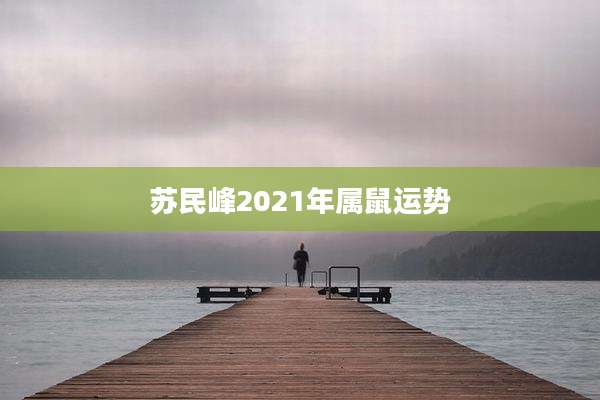 苏民峰2021年属鼠运势