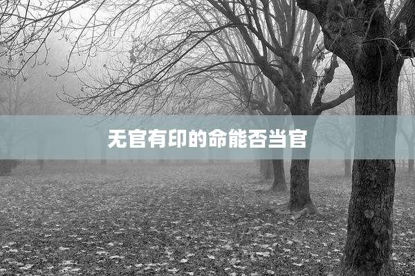 无官有印的命能否当官
