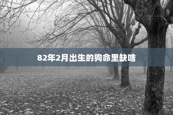 82年2月出生的狗命里缺啥