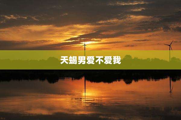 天蝎男爱不爱我