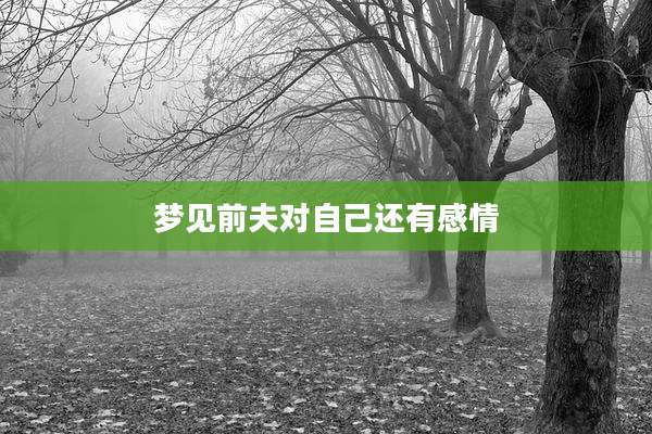 梦见前夫对自己还有感情