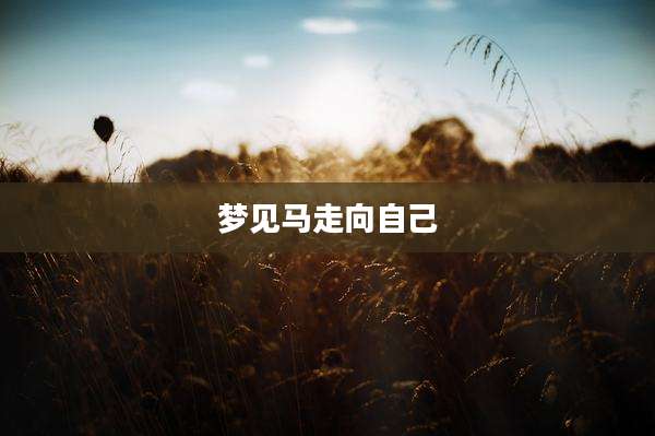 梦见马走向自己