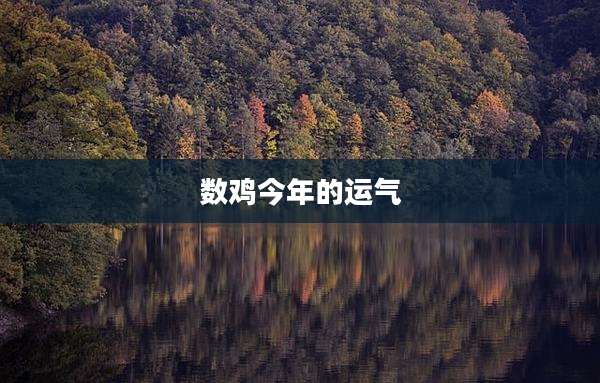 数鸡今年的运气
