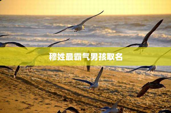 穆姓最霸气男孩取名