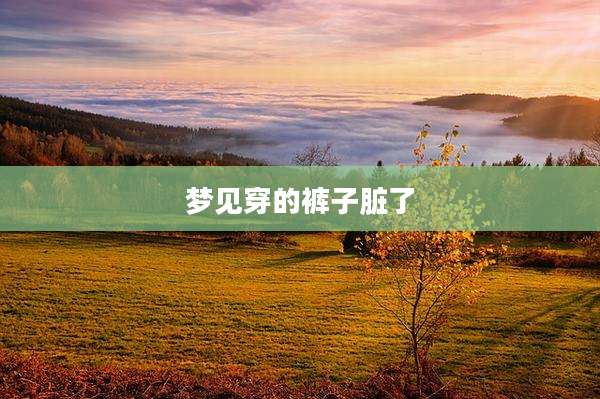 梦见穿的裤子脏了