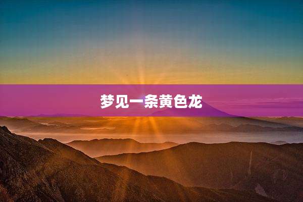 梦见一条黄色龙