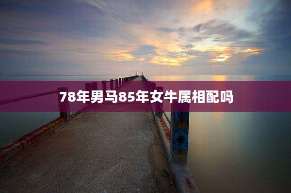 78年男马85年女牛属相配吗