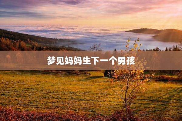 梦见妈妈生下一个男孩