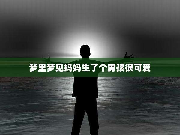 梦里梦见妈妈生了个男孩很可爱