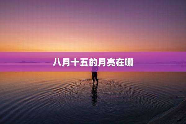 八月十五的月亮在哪